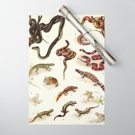 Adolphe Millot - Batraciens et reptiles - French vintage zoology poster Wrapping Paper