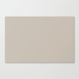 Soft Neutral Warm Gray Greige Solid Color Pairs PPG Ashen PPG1023-3 - All One Single Shade Colour Canvas Print