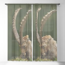 Alpine Ibex Goat Sheer Curtain