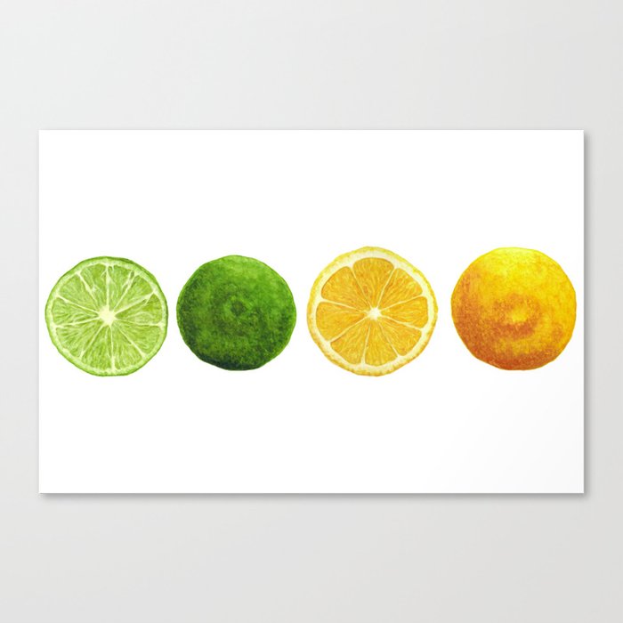 Lemon and Lime, A Realistic Botanical Watercolor Painting Canvas Print