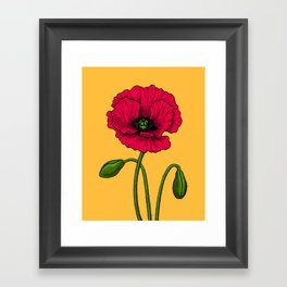Red poppy drawing Framed Art Print