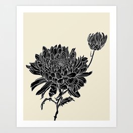 Black Chrysanthemum Art Print