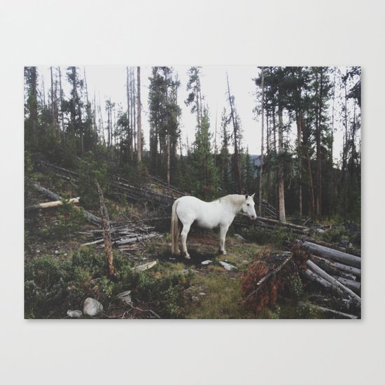 The White Horse Canvas Print
