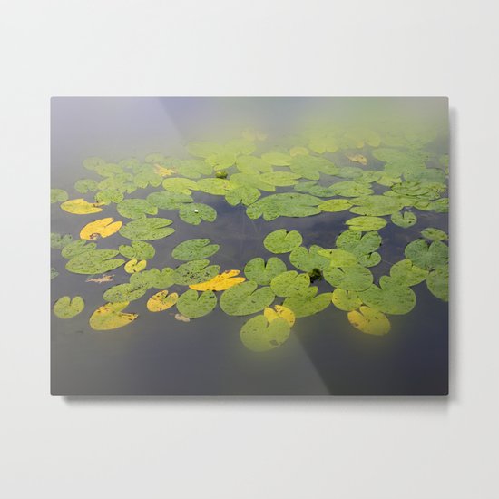 garden pond IV Metal Print