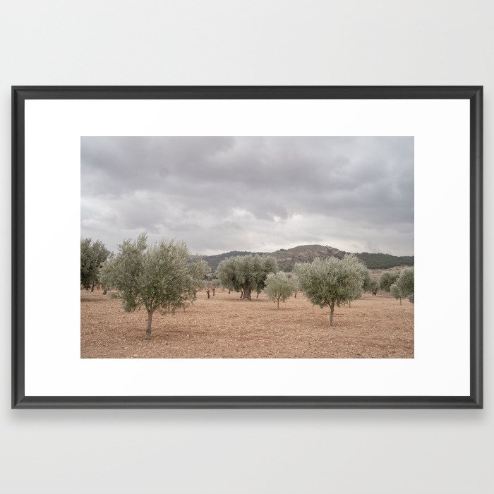 Valencia Framed Art Print