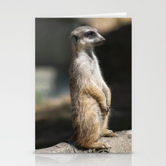 Meerkat Stationery Cards