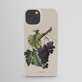 Black Grape Antique Botanical Illustration iPhone Case