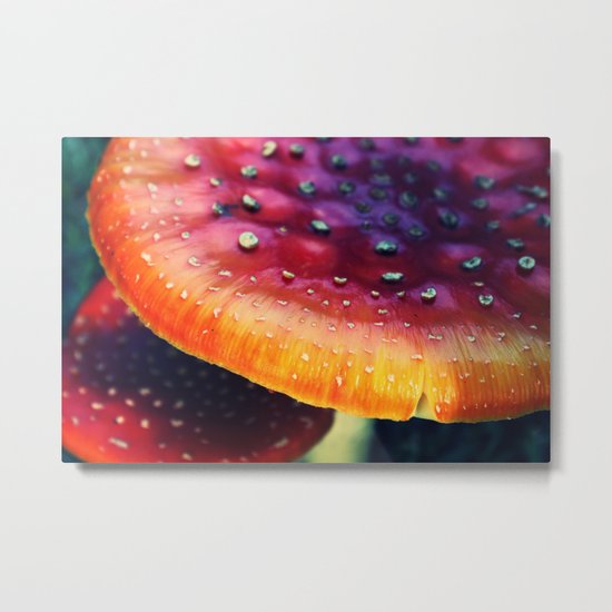 mushrooms Metal Print