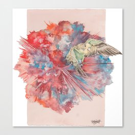 A Parakeet Breaks Through the Barrier Canvas Print