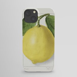 Lemon (Citrus Limon)(1910) by Ellen Isham Schutt. iPhone Case