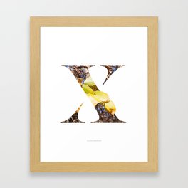 LL Series: X Framed Art Print