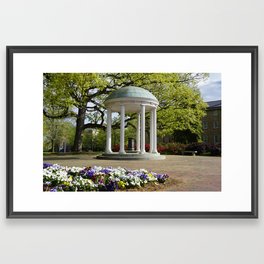 Flowers around the Old Well at UNC Framed Art Print