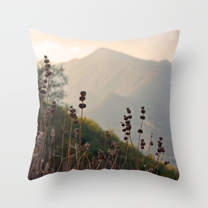 Ojai Mighty Mountain California Shine Throw Pillow