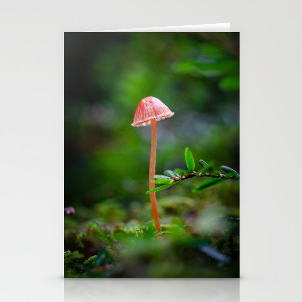 Little Orange Mushroom Stationery Cards