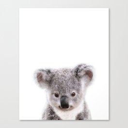 Baby Koala, Art for Kids, Nursery Art, Baby Animals Art Print By Synplus Canvas Print