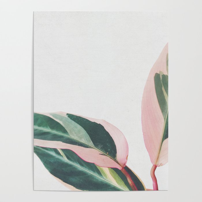 Pink Leaves II Poster