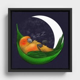 Good Night Mango Framed Canvas