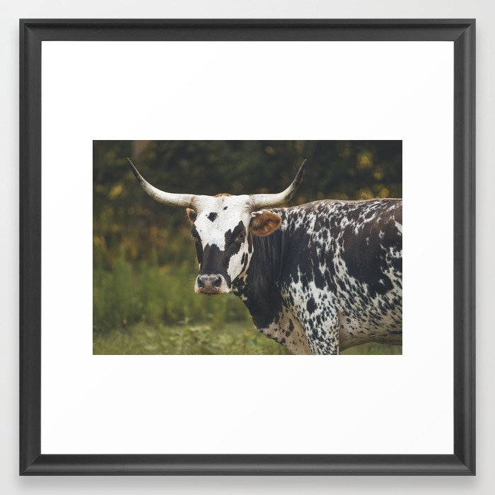 Momma Cow Framed Art Print