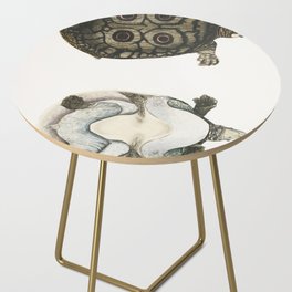 Eyed Trionyx (Tryonix ocellatus) Side Table