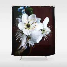 Gentle cherry blossom flower vase Shower Curtain