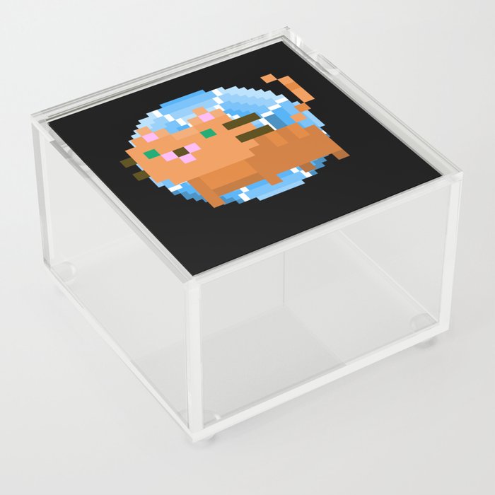Cats Pixel Gaming Games Art Retro Acrylic Box