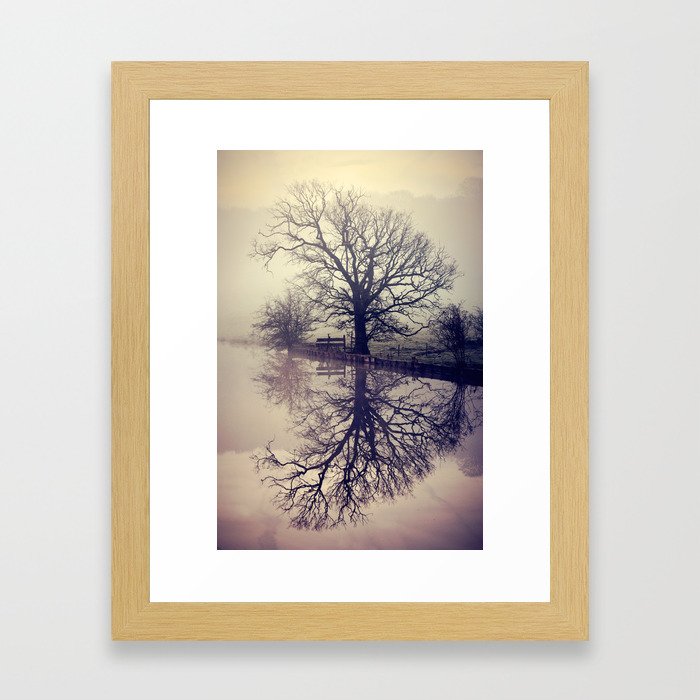 Natures Lungs Framed Art Print