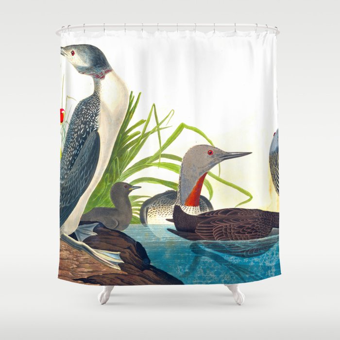 Red-Throated Diver Duck Shower Curtain