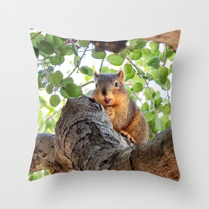 Suspicious Squirrel Guarding Acorn Throw Pillow
