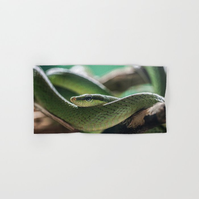 Green snake on the branch Hand & Bath Towel