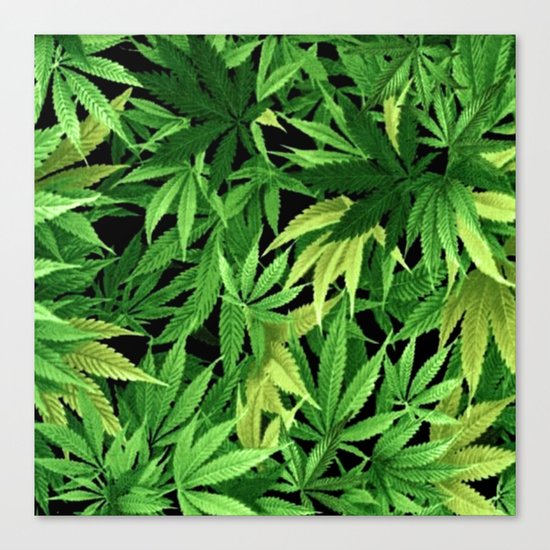 Cannabis Canvas Print