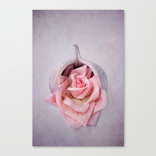 A ROSE IS A ROSE Canvas Print