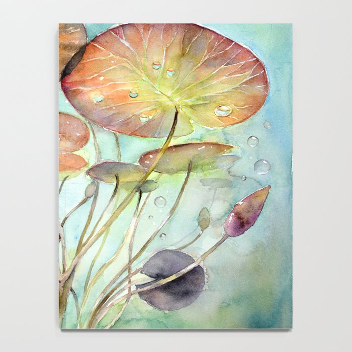 Waterlily Watercolor Lilypad Illustration Pond Surreal Art