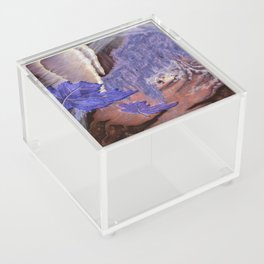 Forest of Dreams Acrylic Box