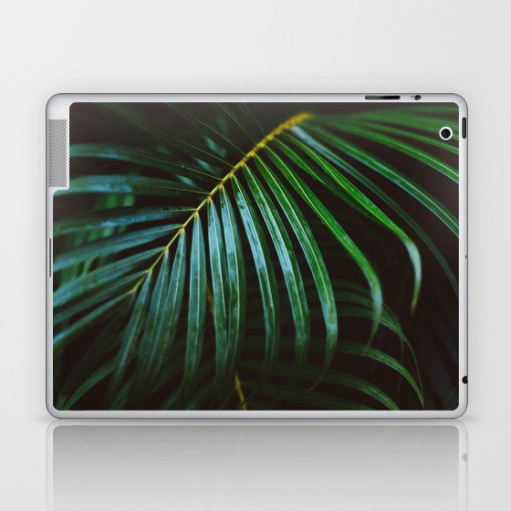 Tropical Palm Leaf Laptop & iPad Skin
