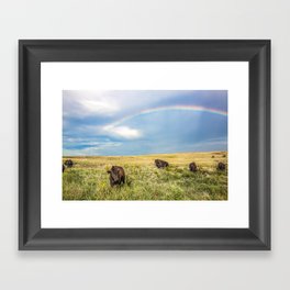 Rainbows and Bison - Buffalo on the Tallgrass Prairies of Oklahoma Framed Art Print