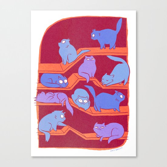 Cat Path Canvas Print