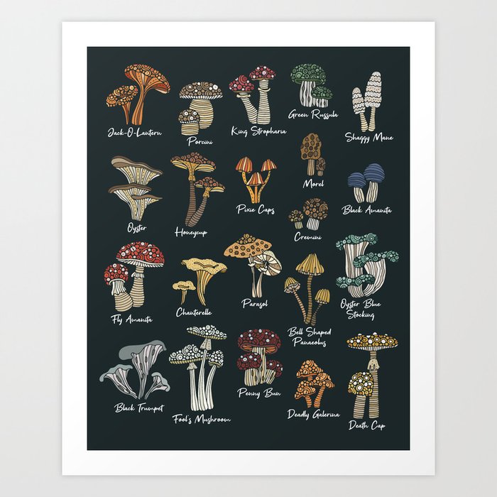 Mushrooms Chart - Dark background Art Print