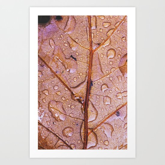 after the rain Art Print