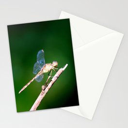Invisible Wings Stationery Cards