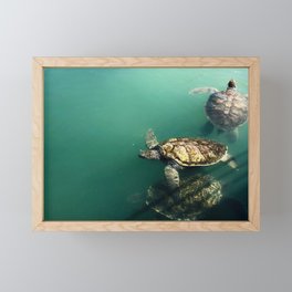 turtles Framed Mini Art Print