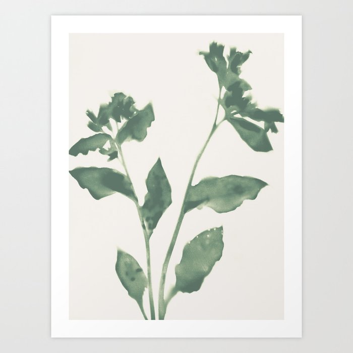 Sage Green Flowers 2 Art Print
