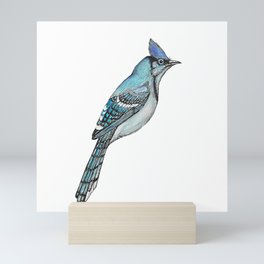 Blue Jay Mini Art Print