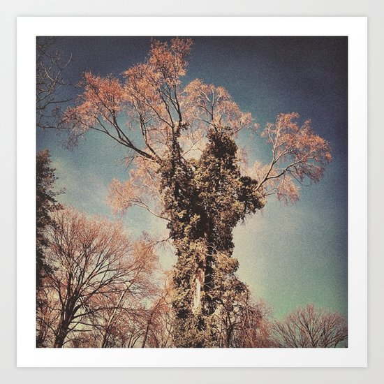 Tree 4 Art Print