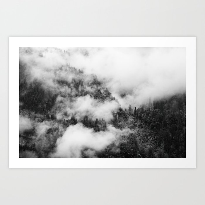 Forest in Black and White – Landscape Photography Art Print