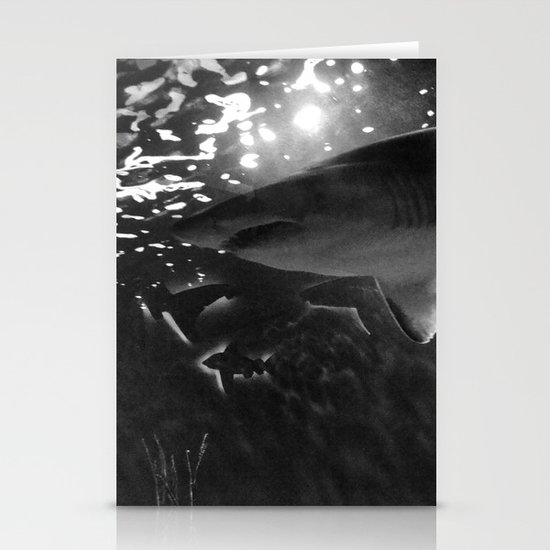 Shark Stationery Cards