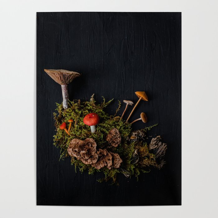 Fungiscape Poster