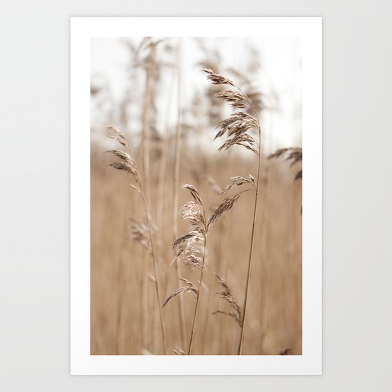 Spring Grass Art Print
