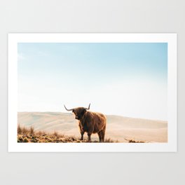Highland Cow in Isle of Skye. Art Print