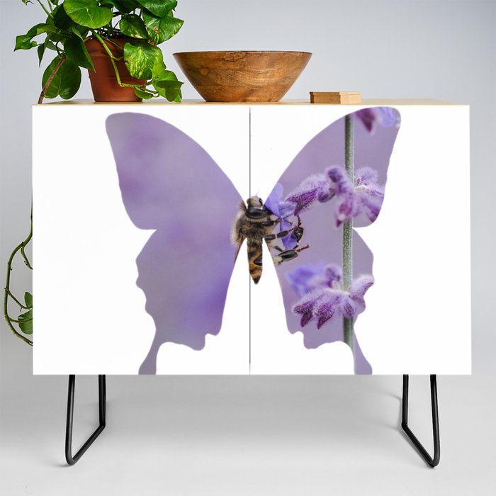 amazing butterfly Credenza