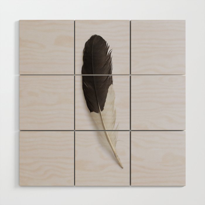 Minimalist Black and White Feather Wood Wall Art